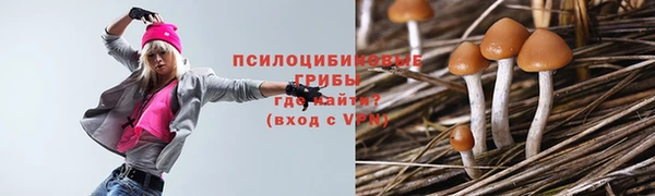 мяу мяу кристалл Аркадак